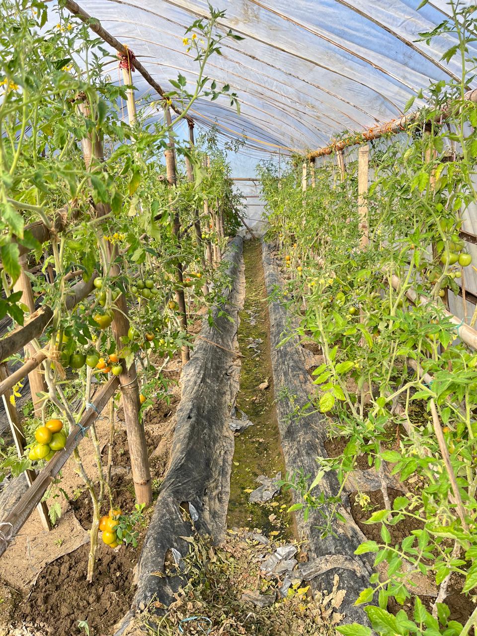 The Kuna-Karnali Region Centre for Agro-tourism, Health and Community Development Project