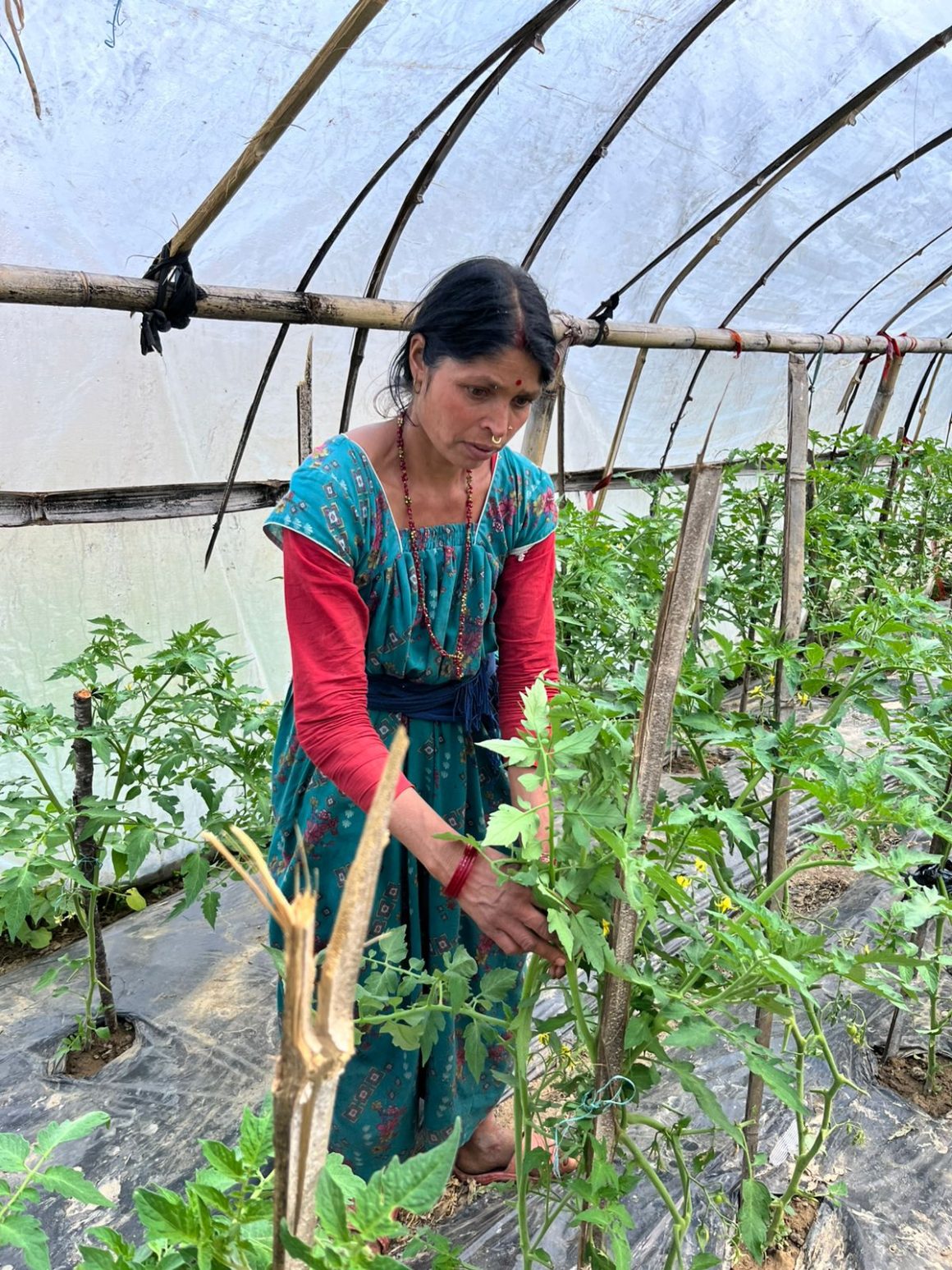 The Kuna-Karnali Region Centre for Agro-tourism, Health and Community Development Project