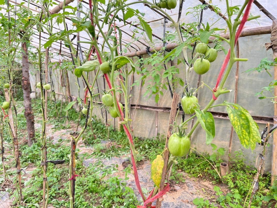 The Kuna-Karnali Region Centre for Agro-tourism, Health and Community Development Project
