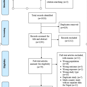 Impacts of Air Pollution and Heat Exposure on Reproductive, Maternal, Neonatal, Child, and Adolescent Health (RMNCAH) Outcomes in Nepal: a scoping review